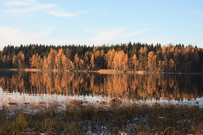 Kotitalousv&Atilde;&curren;hennys